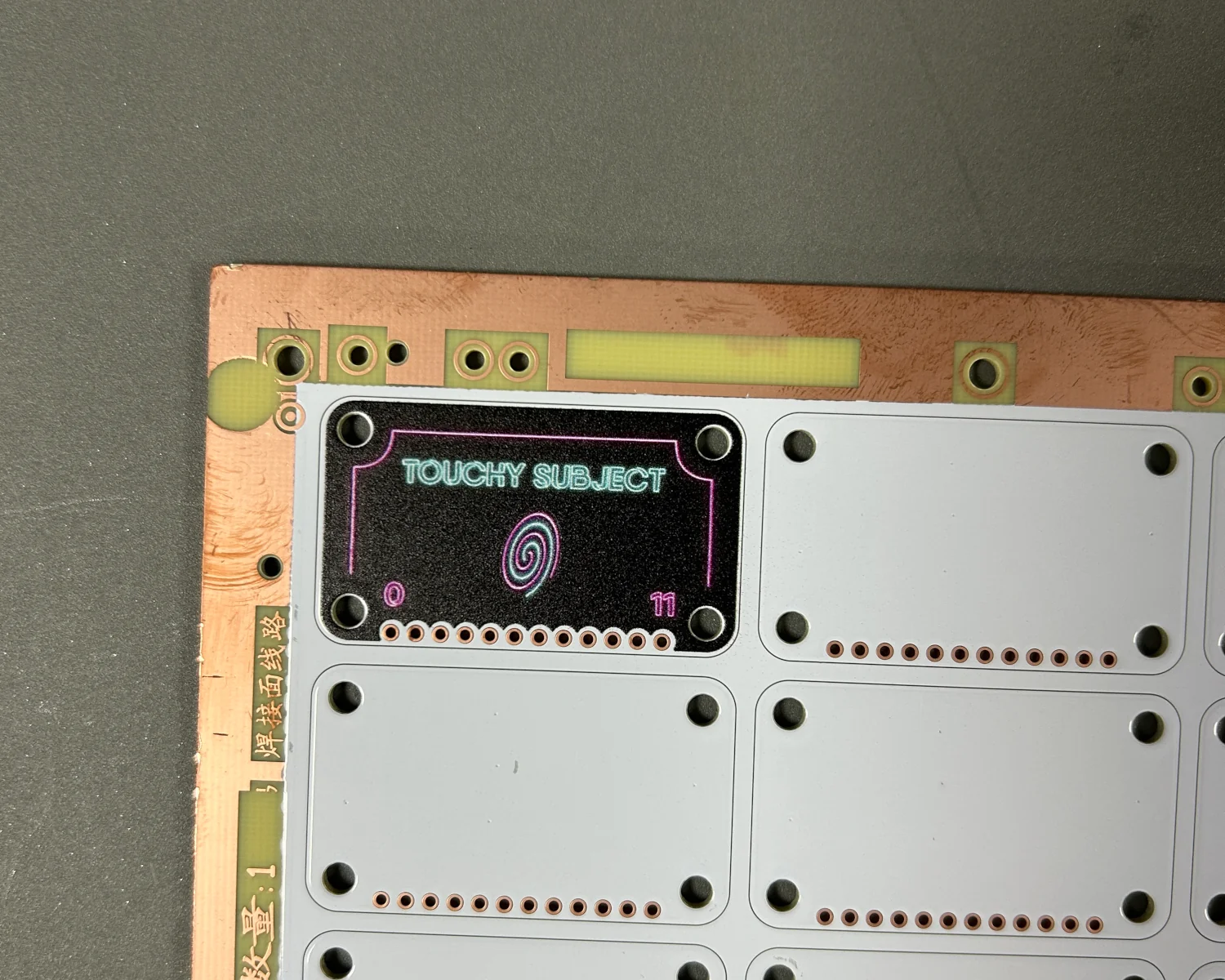 A production sample of a Touchy Subject board showing artwork placement.