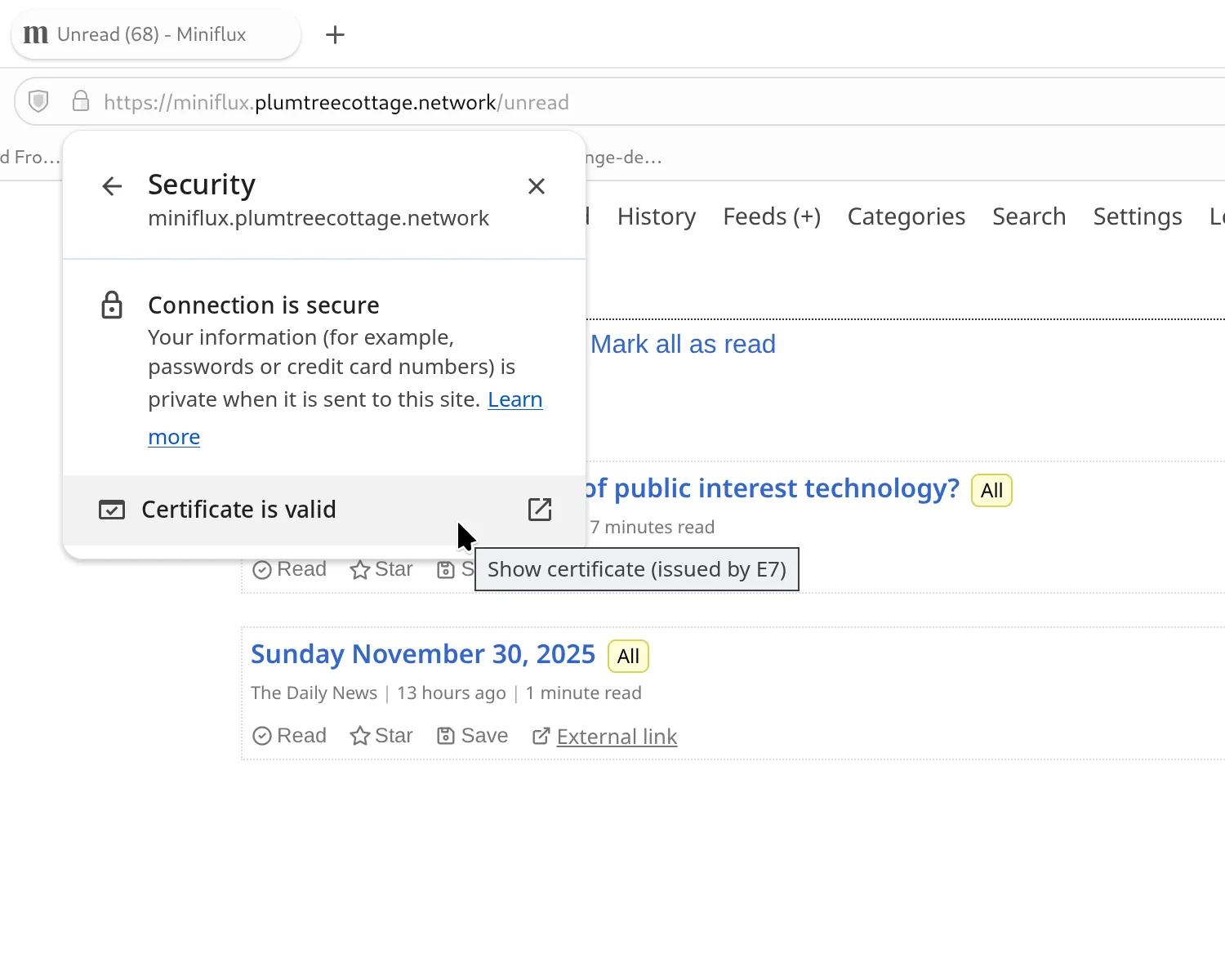 A screenshot of an internal-only Miniflux service correctly responding to TLS requests.