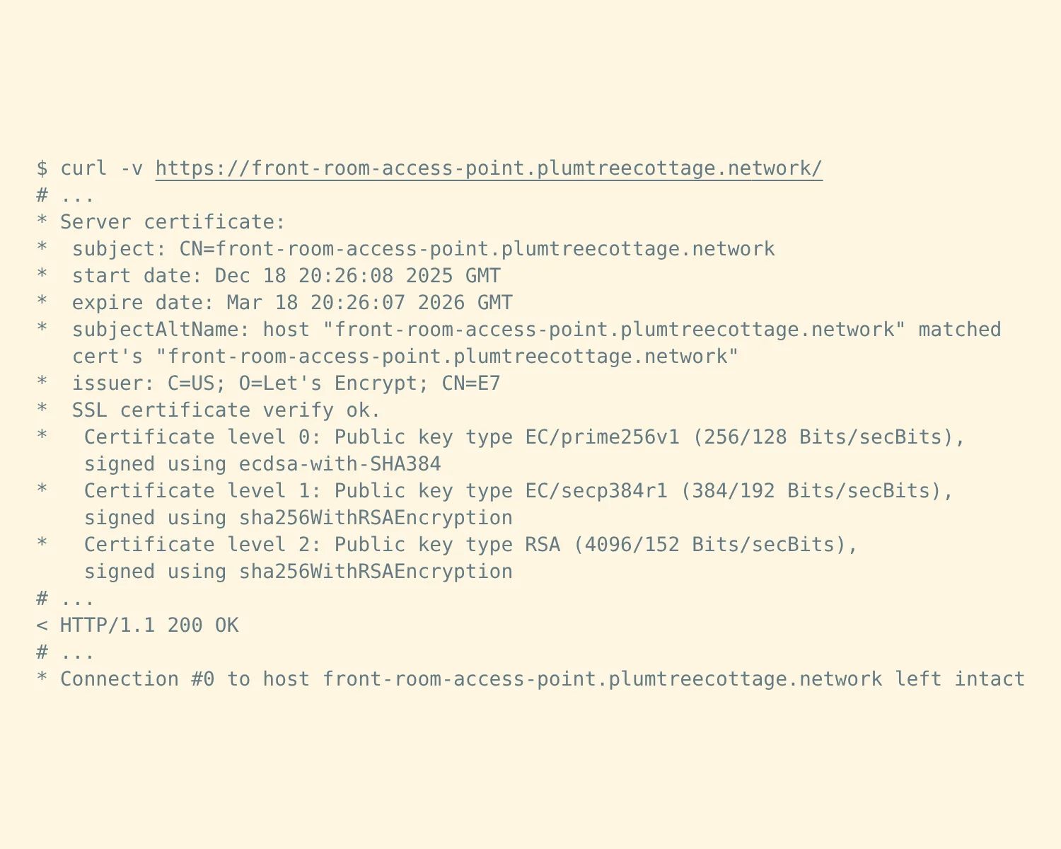 A screenshot of an internal-only OpenWrt device being accessed with a verbose curl command.
